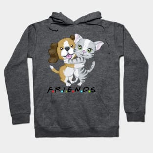 friends Hoodie